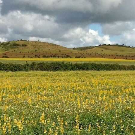 Village Loft Cercal do Alentejo Экстерьер фото