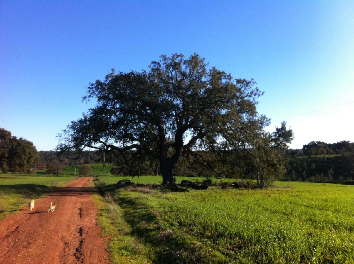 Village Loft Cercal do Alentejo Экстерьер фото